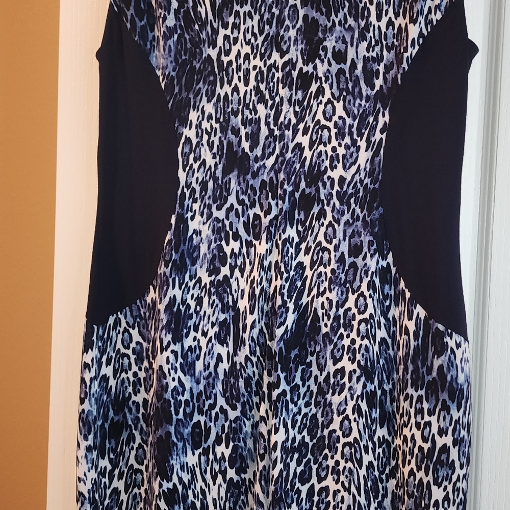 Cache Dress - Picture 5 of 5
